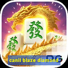 canil blaze diamond